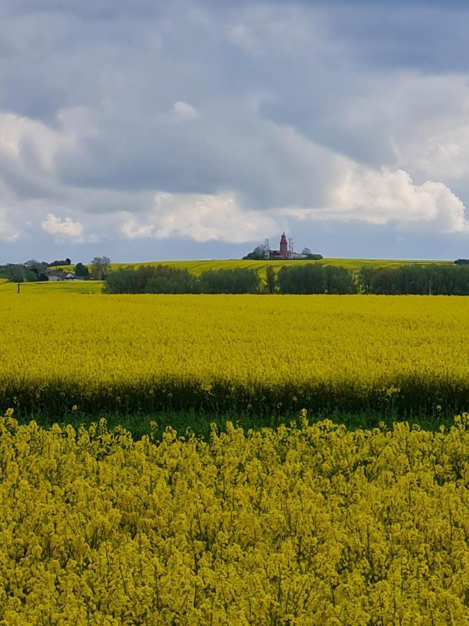 Ferienwohnung Im Leuchtturmort Bastorf ภายนอก รูปภาพ