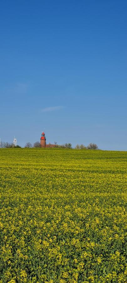 Ferienwohnung Im Leuchtturmort Bastorf ภายนอก รูปภาพ